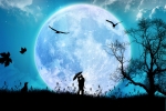 The influence of the moon September 3, 2019 - Előnézeti Képe