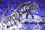 2022 is the year of the Black Water Tiger. - Page Preview
